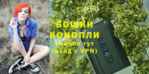 трава Михайловск